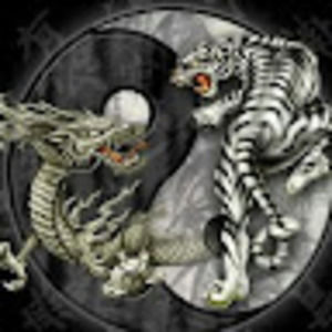 Meet your Posher, Marco